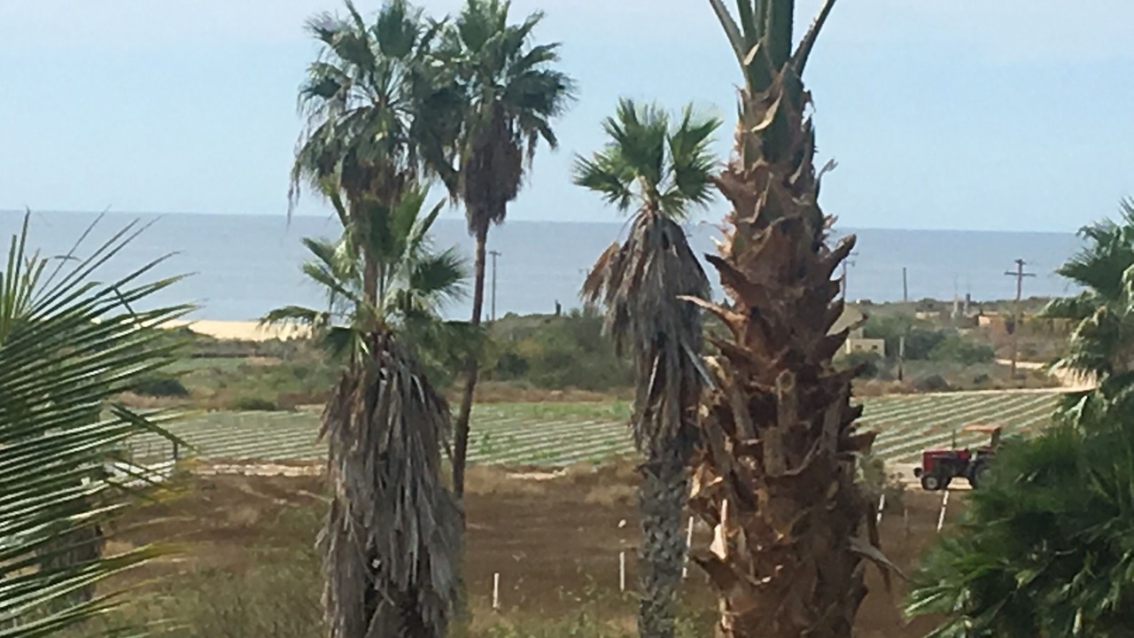 Photo of Others in El Pescadero