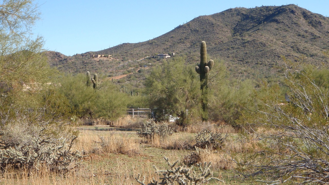 Photo of Outdoor in Cave Creek