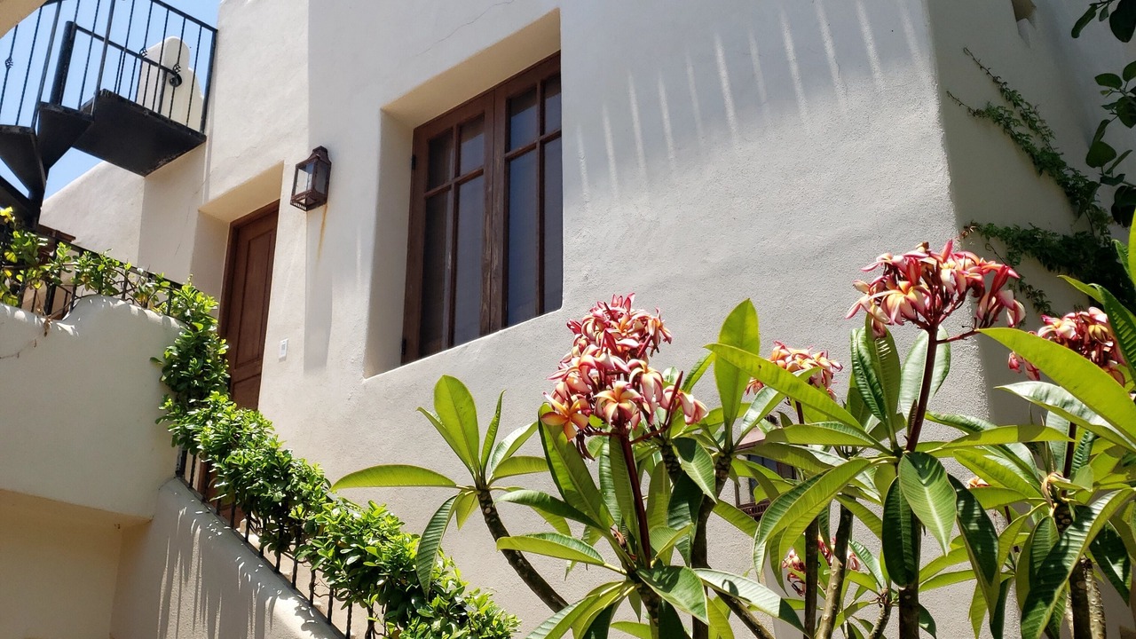 Photo of Outdoor in Nopolo