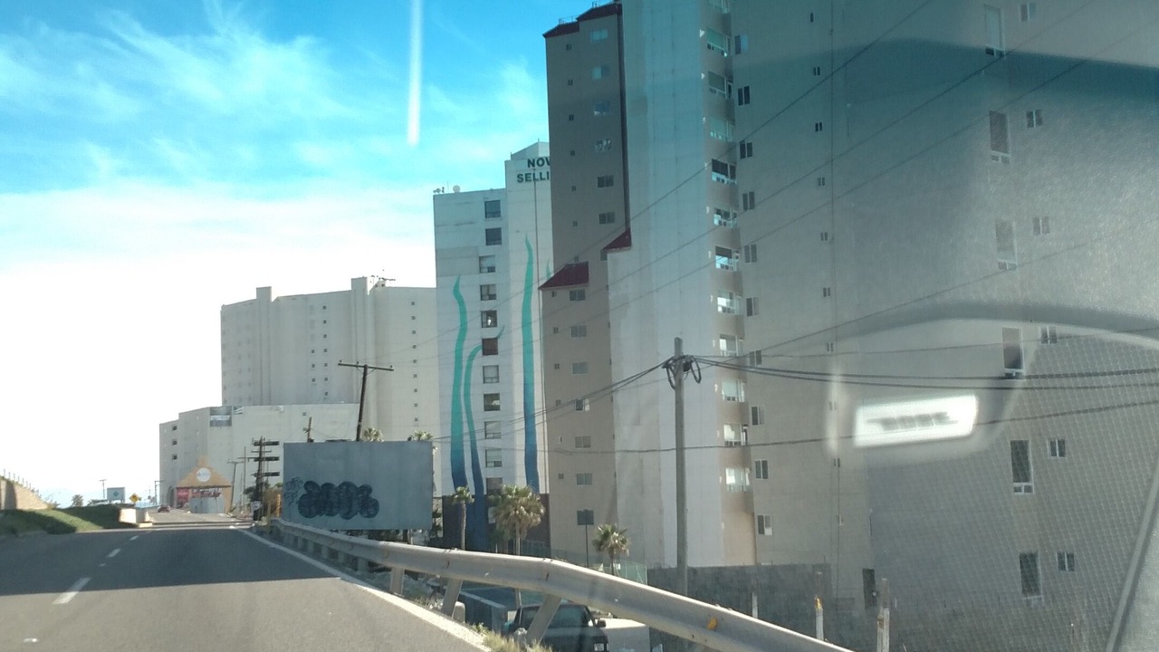 Photo of Others in Rosarito