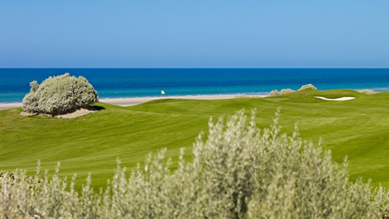 Photo of Others in Puerto Penasco