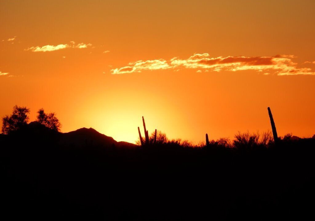 Photo of Others in Marana