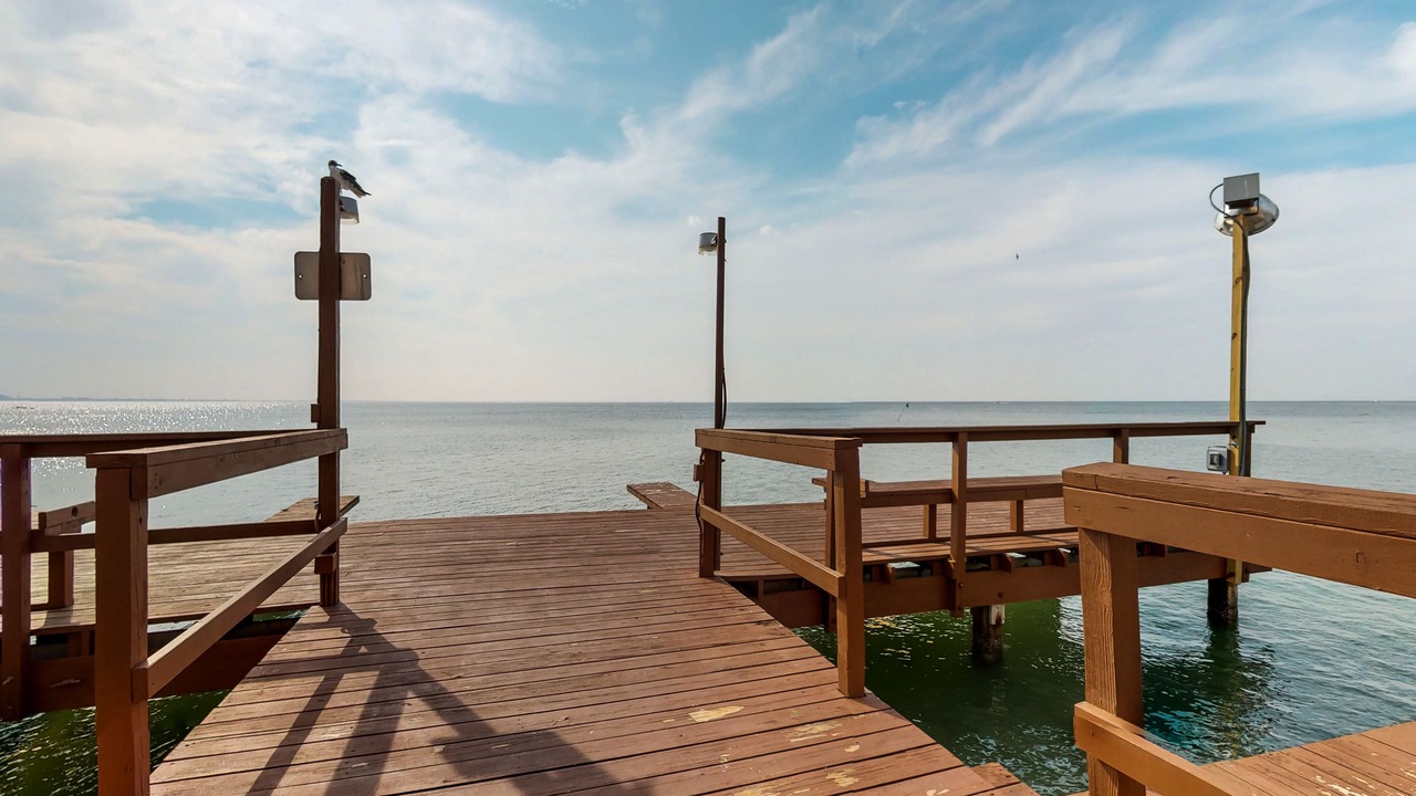 Photo of Outdoor in South Padre Island