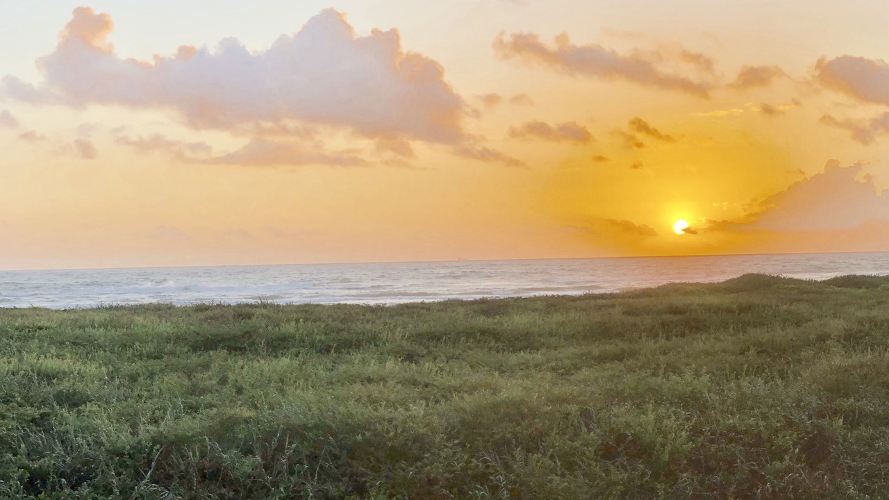 Photo of Others in South Padre Island