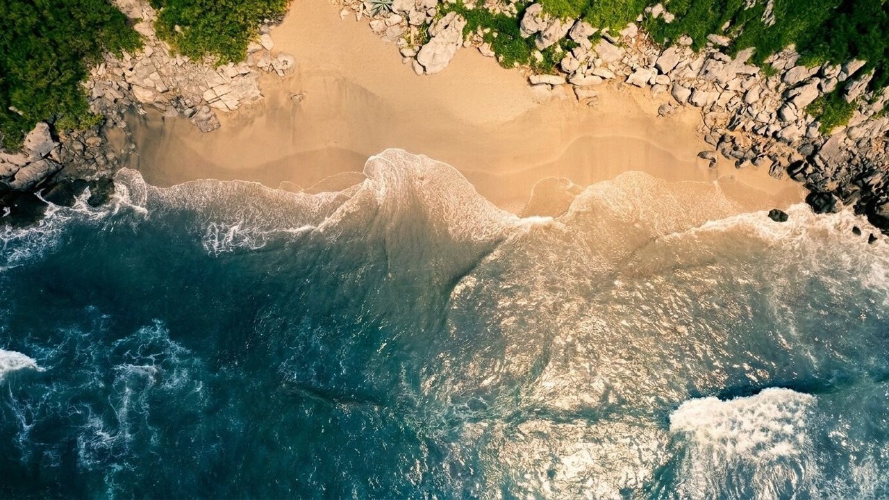 Photo of Others in Troncones