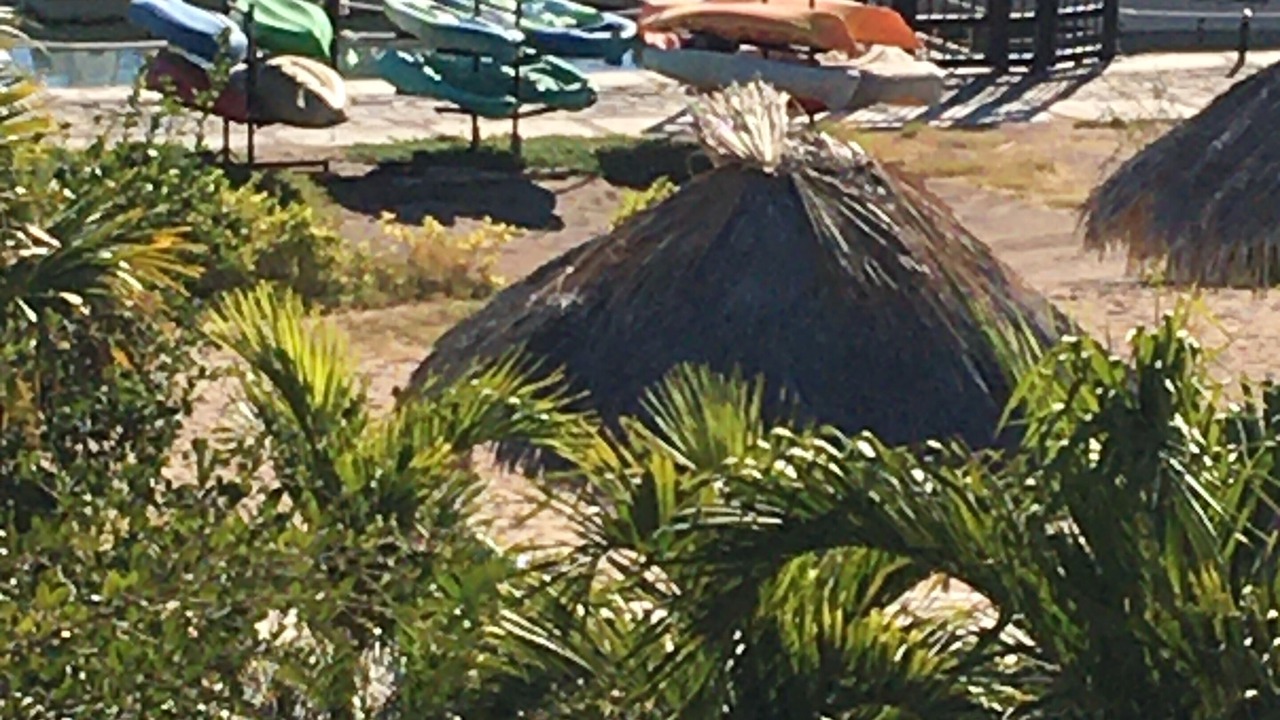 Photo of Others in Nopolo