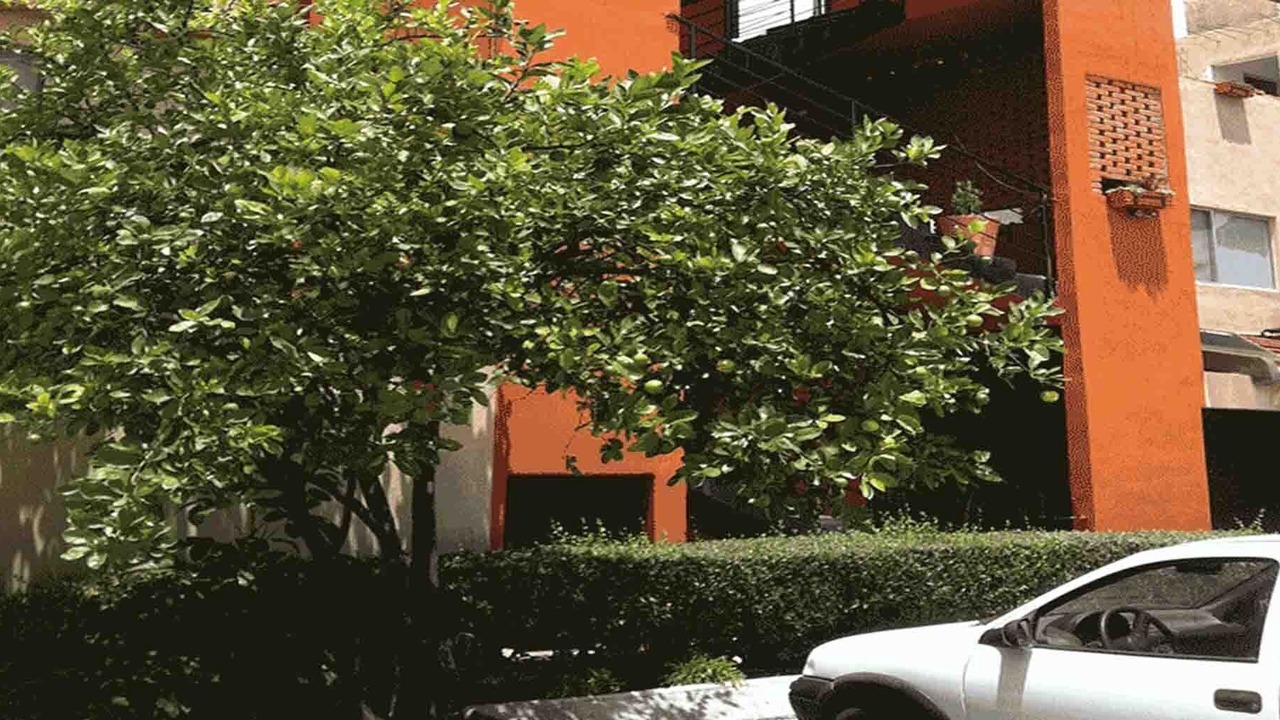 Photo of Outdoor in San Luis Potosi