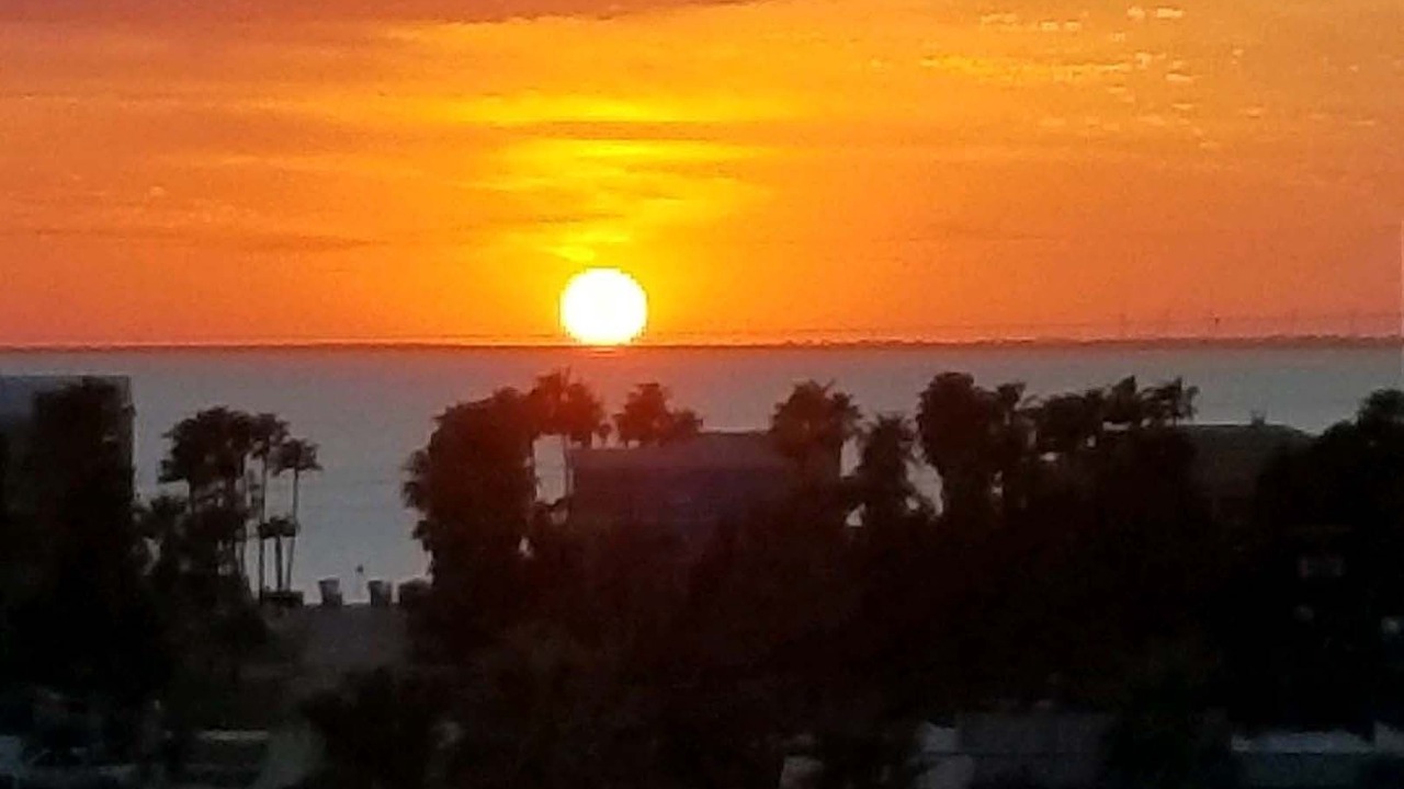 Photo of Others in South Padre Island