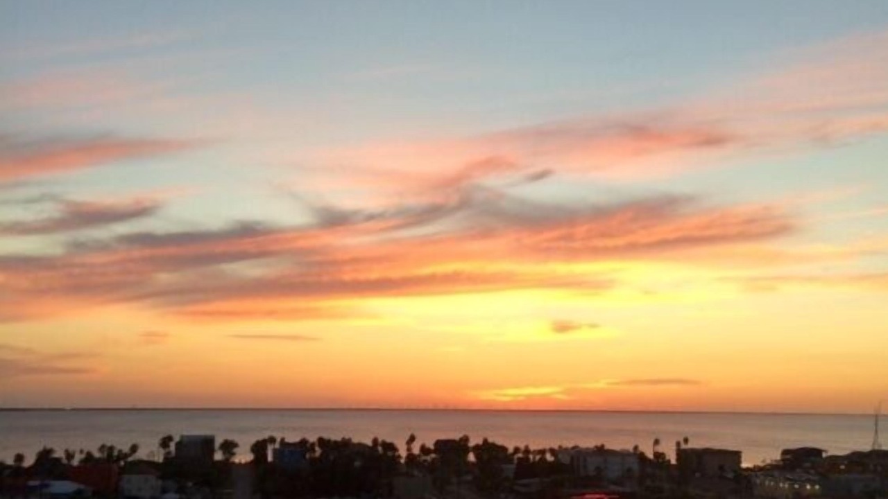 Photo of Others in South Padre Island