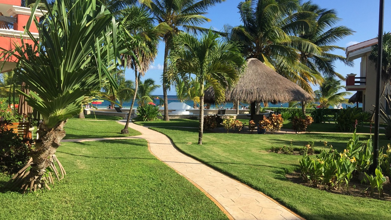 Photo of Others in Puerto Morelos