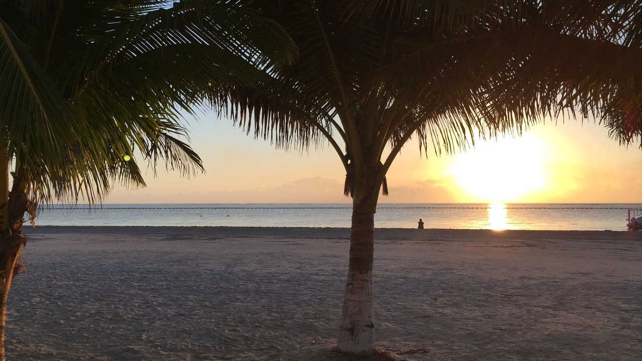 Photo of Others in Puerto Morelos