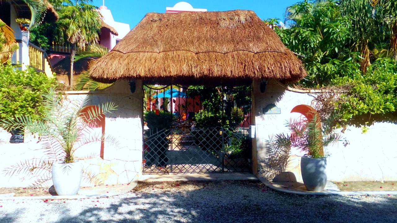 Photo of Others in Akumal
