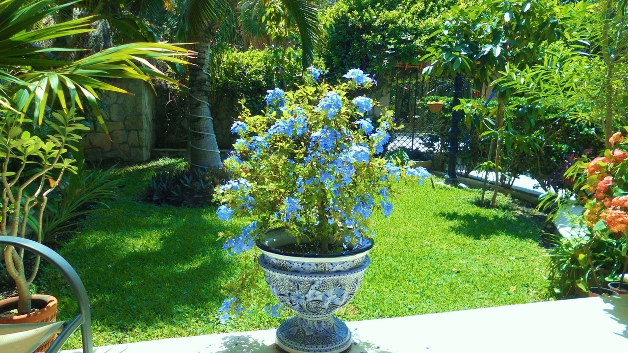 Photo of Outdoor in Akumal