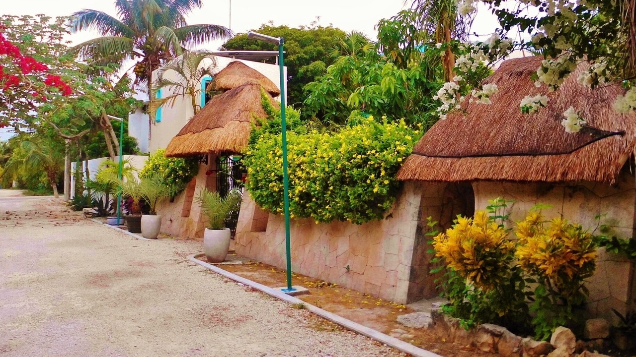Photo of Others in Akumal