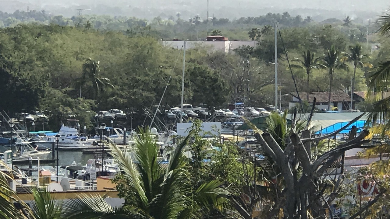 Photo of Others in Isla Iguana