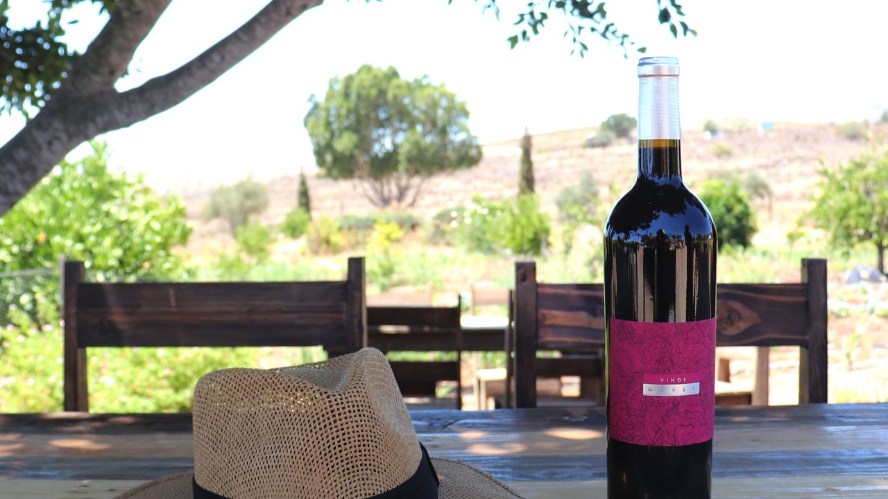 Photo of Outdoor in Valle de Guadalupe