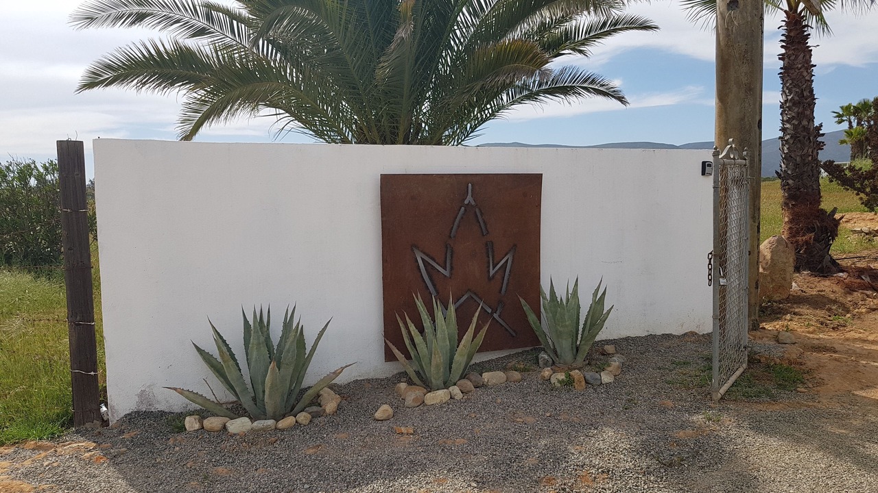 Photo of Outdoor in Valle de Guadalupe