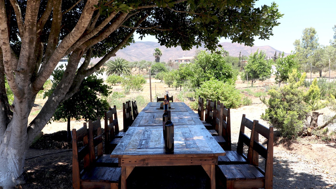 Photo of Outdoor in Valle de Guadalupe