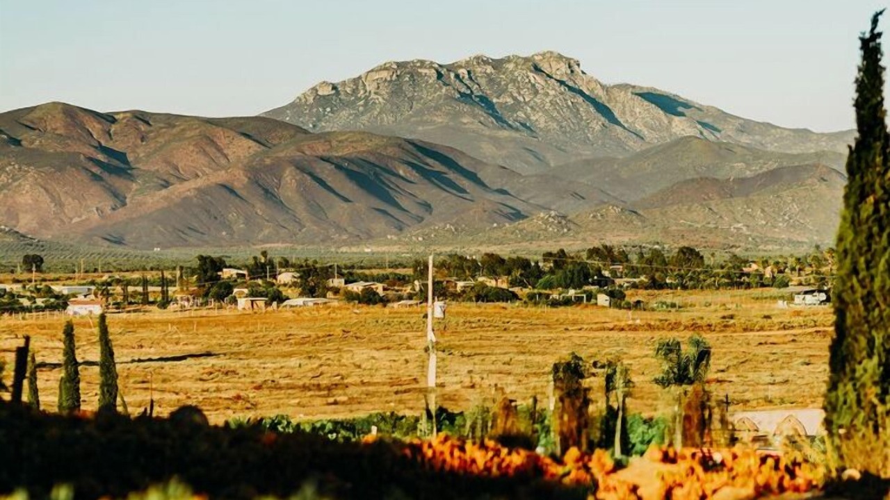 Photo of Others in Valle de Guadalupe