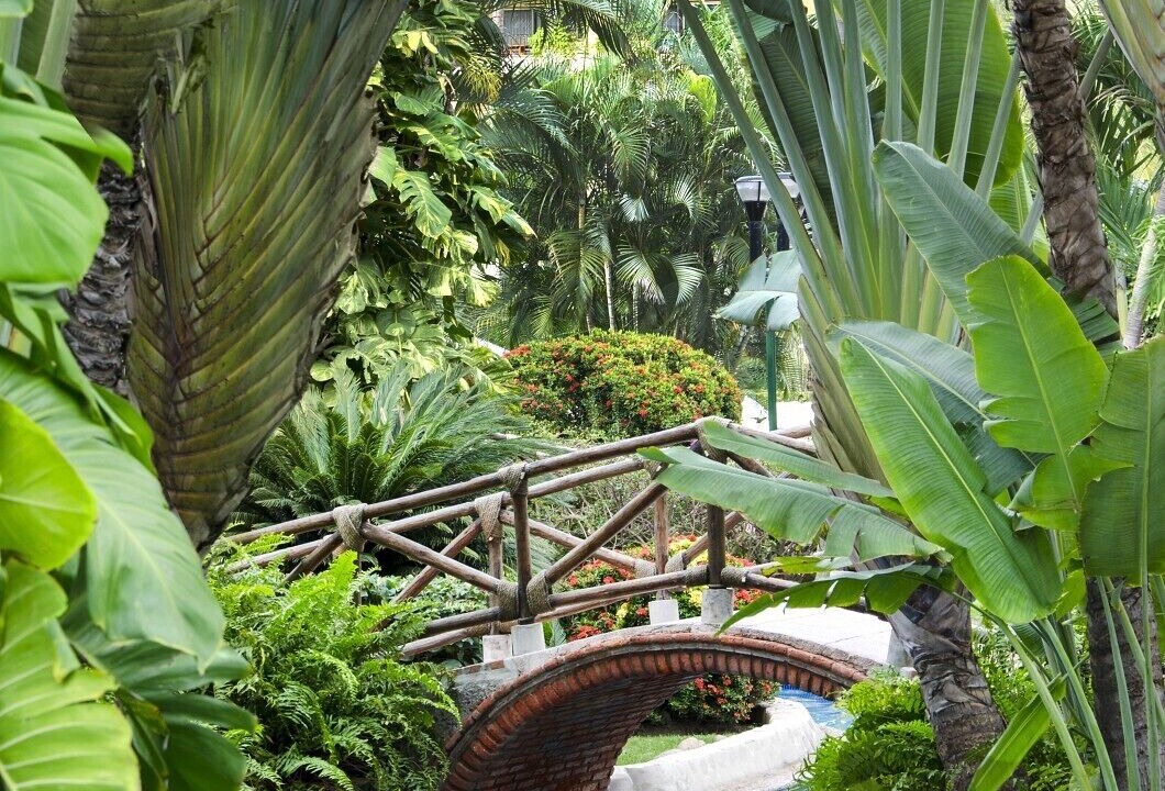 Photo of Outdoor in Marina Vallarta
