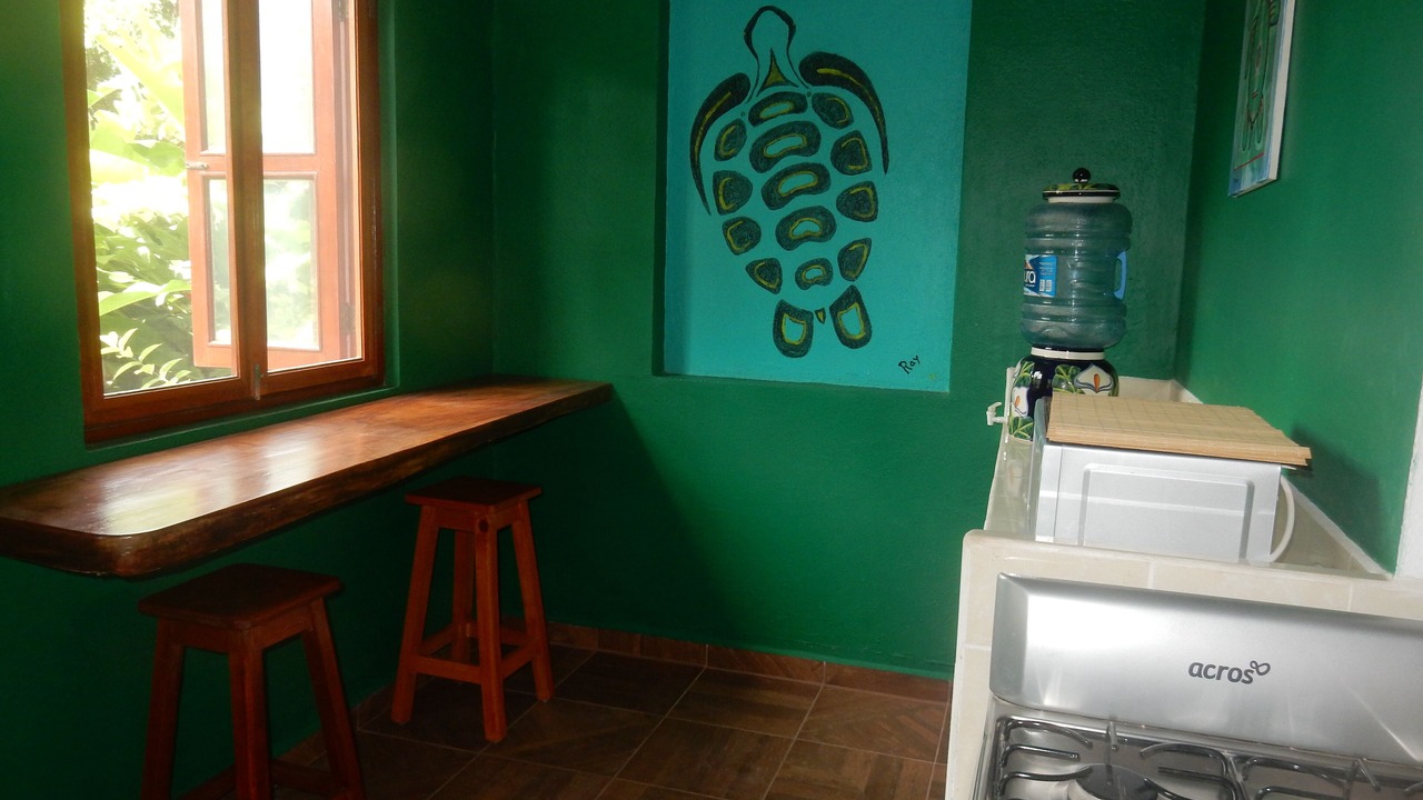 Photo of Kitchen in Zihuatanejo