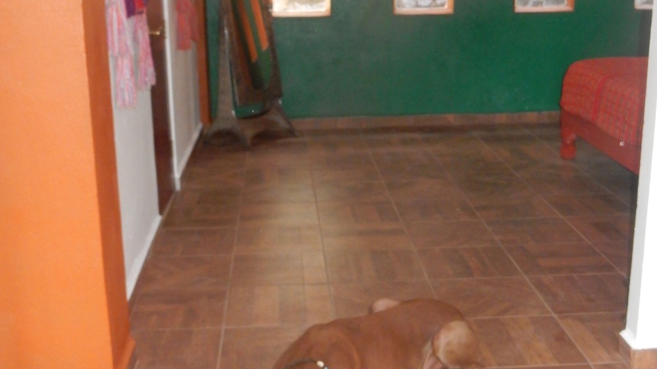 Photo of Others in Zihuatanejo