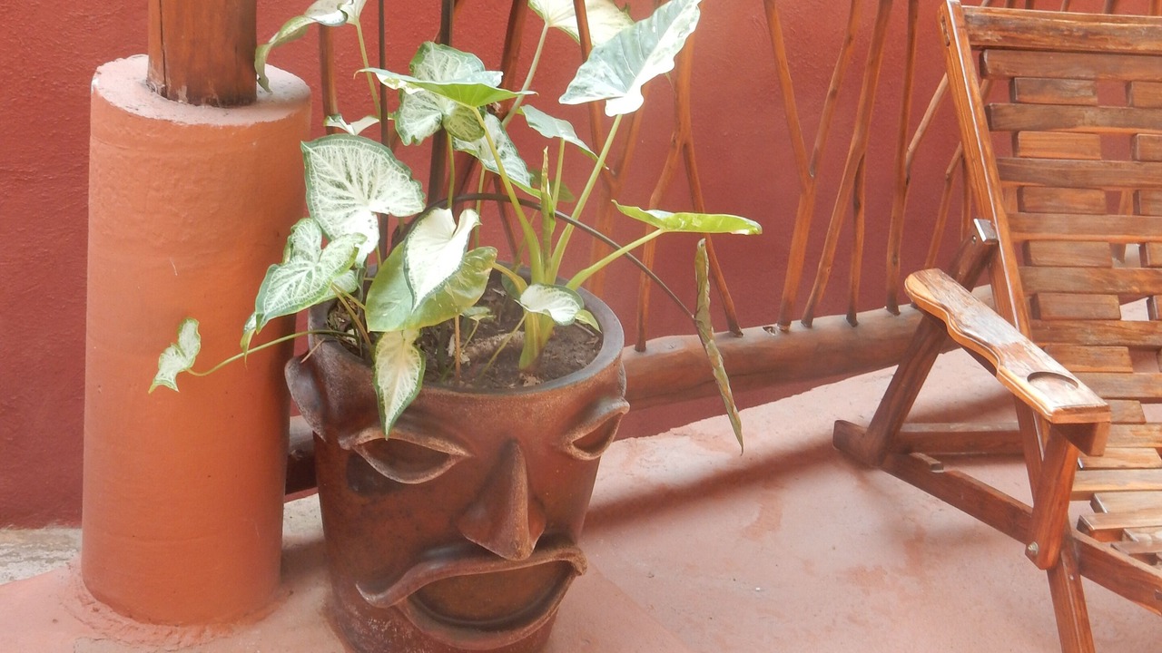 Photo of Others in Zihuatanejo