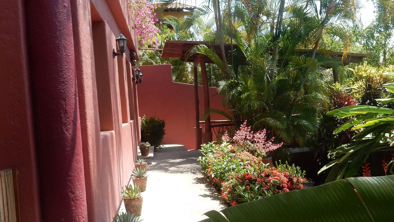 Photo of Outdoor in Zihuatanejo