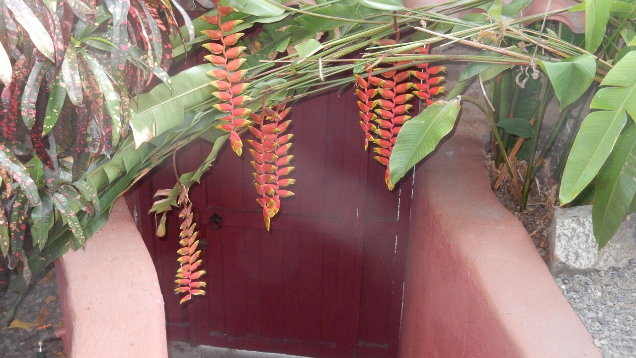 Photo of Others in Zihuatanejo