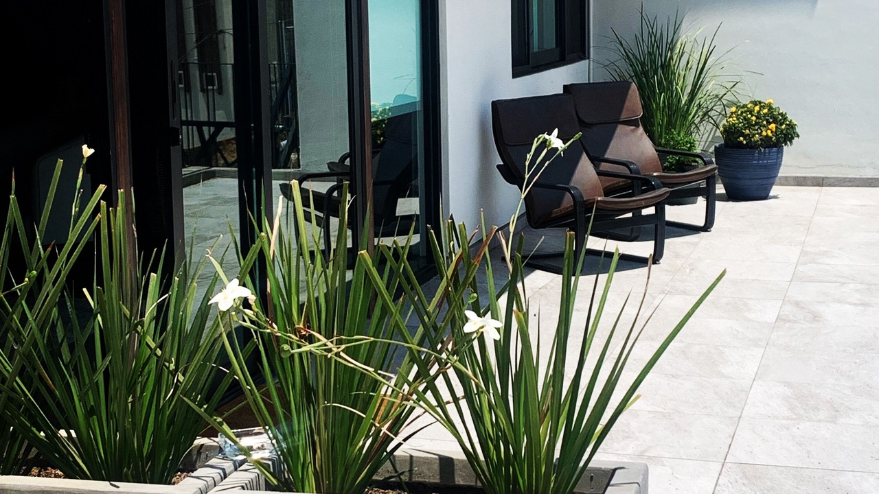 Photo of Outdoor in Zona Centro