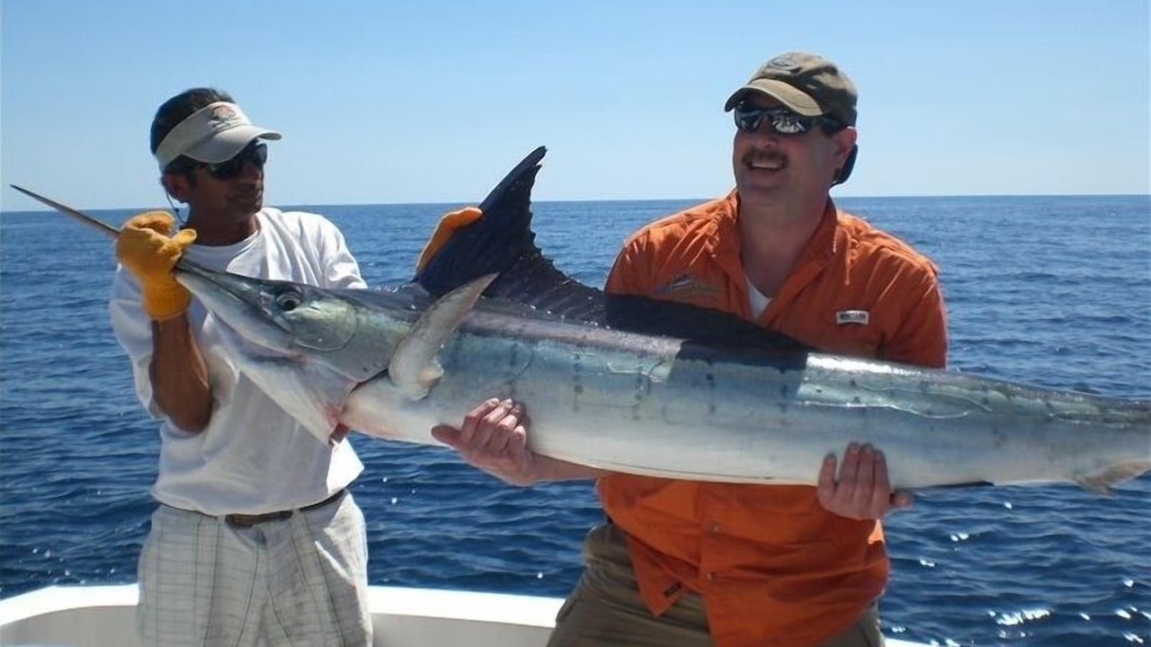 Photo of Others in Cabo Bello