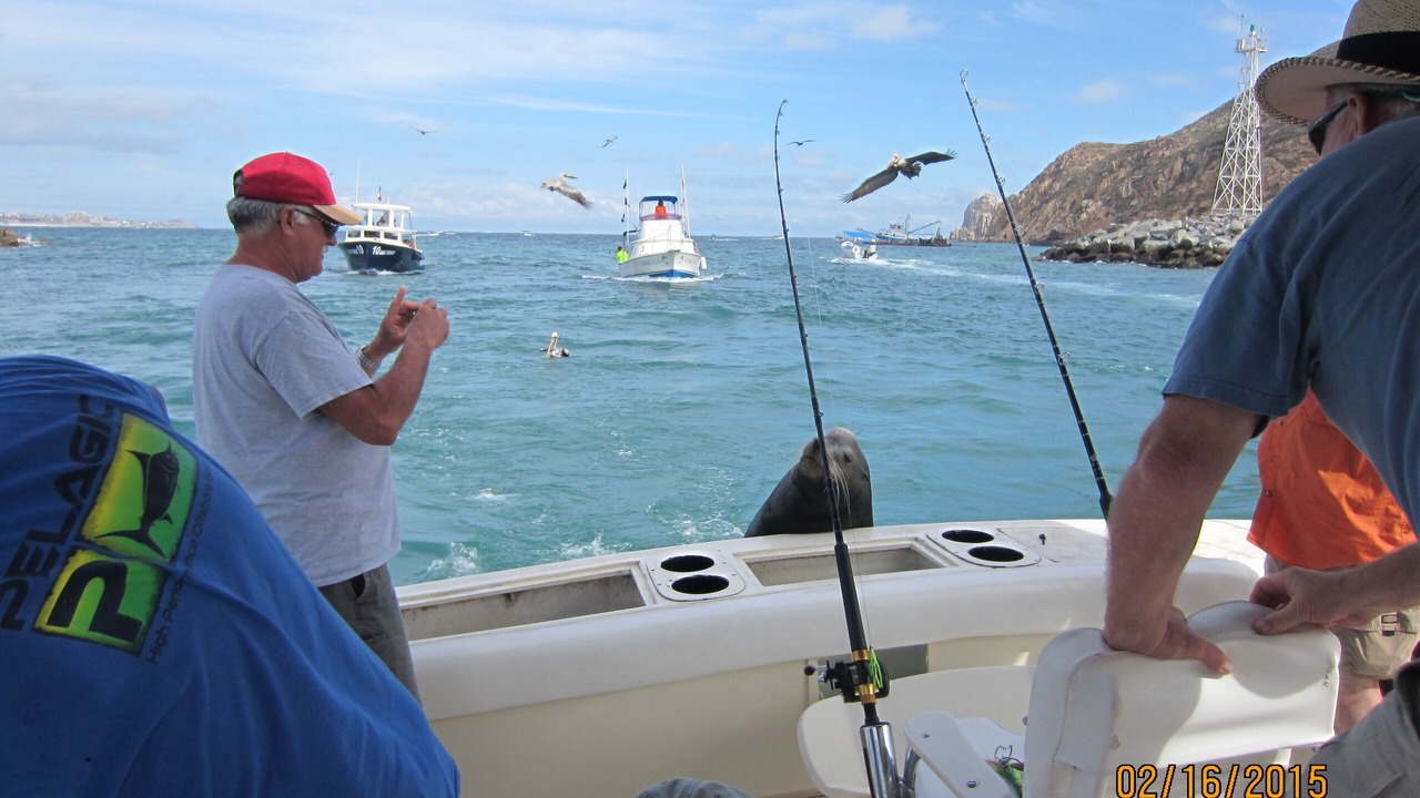 Photo of Others in Cabo Bello