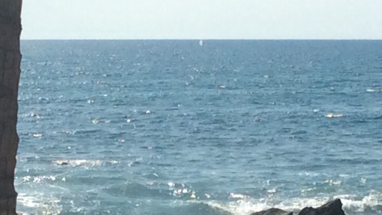 Photo of Others in Troncones