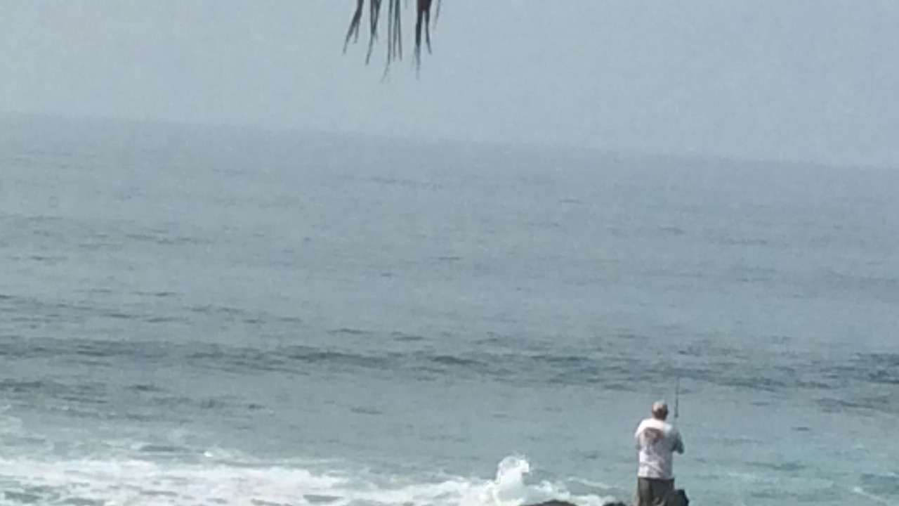 Photo of Others in Troncones