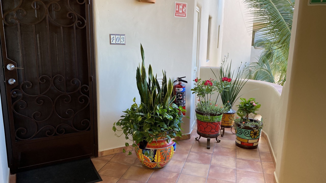 Photo of Others in San Jose del Cabo
