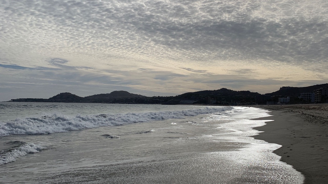 Photo of Others in San Jose del Cabo
