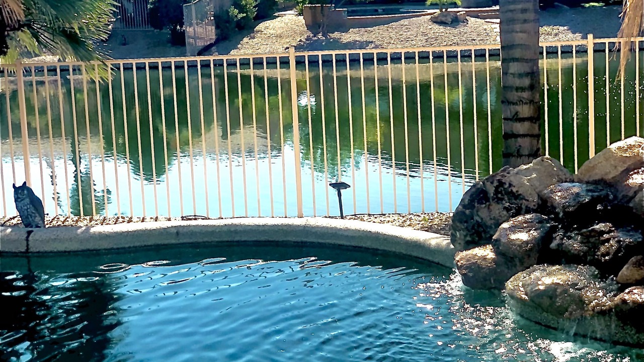 Photo of Outdoor in Sierra Verde at Arrowhead Ranch