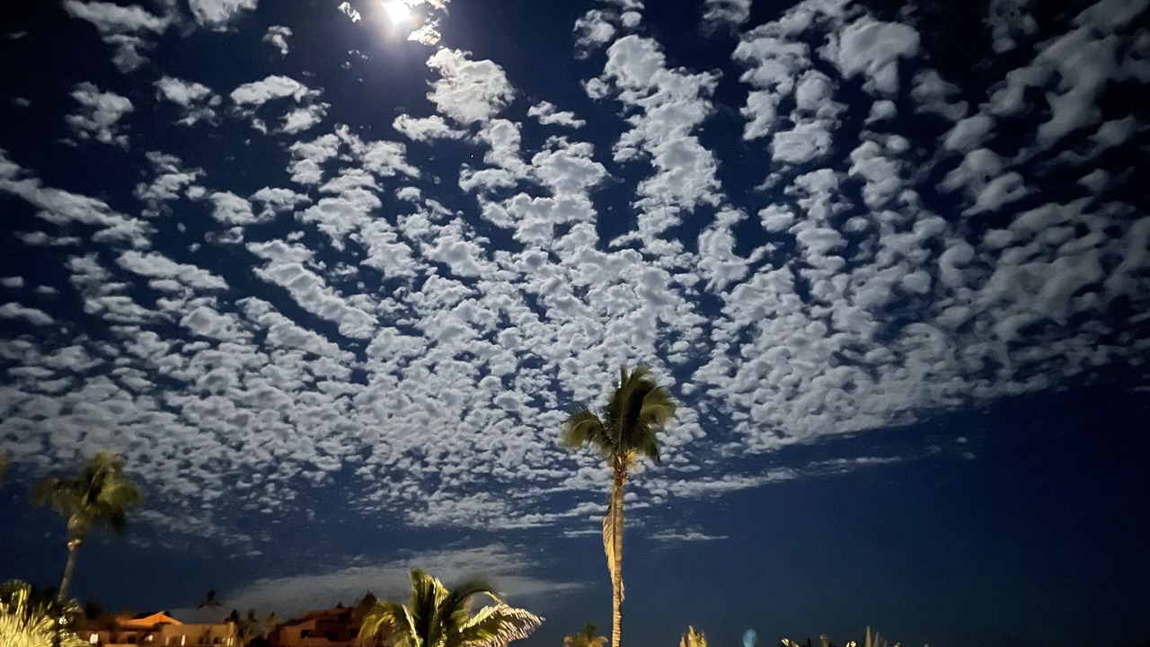 Photo of Others in San Jose del Cabo