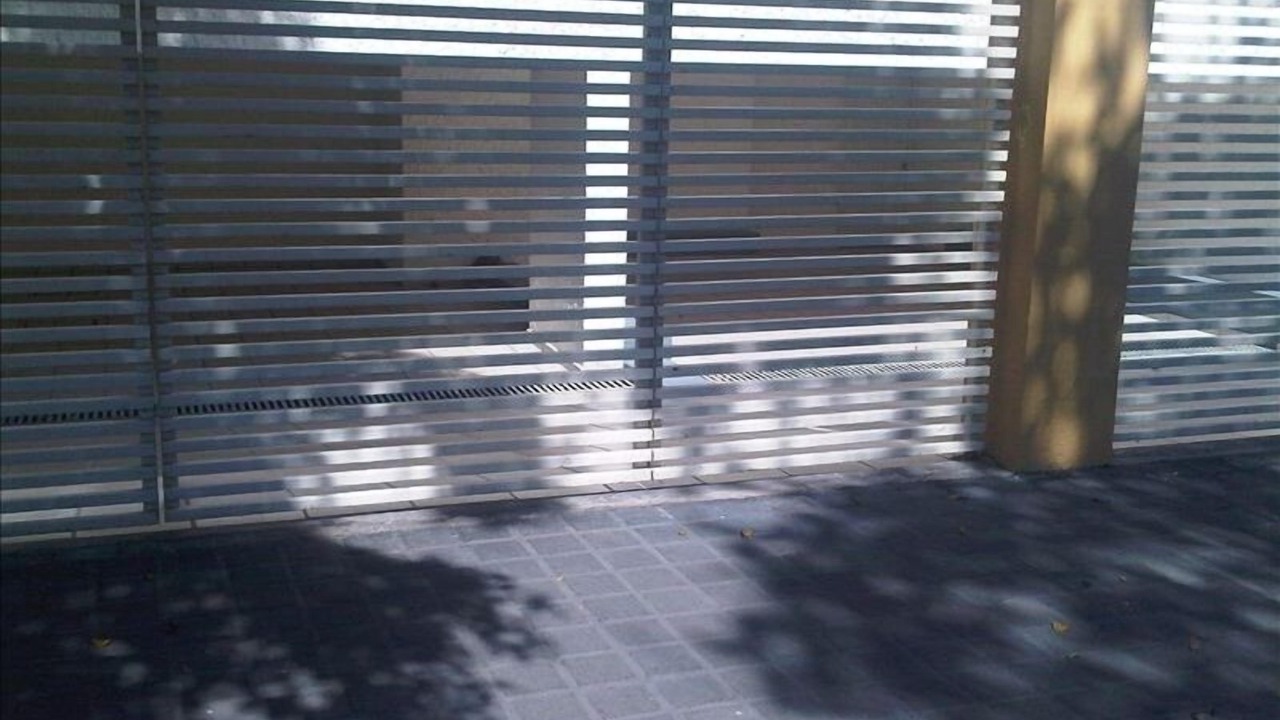 Photo of Others in Guadalajara