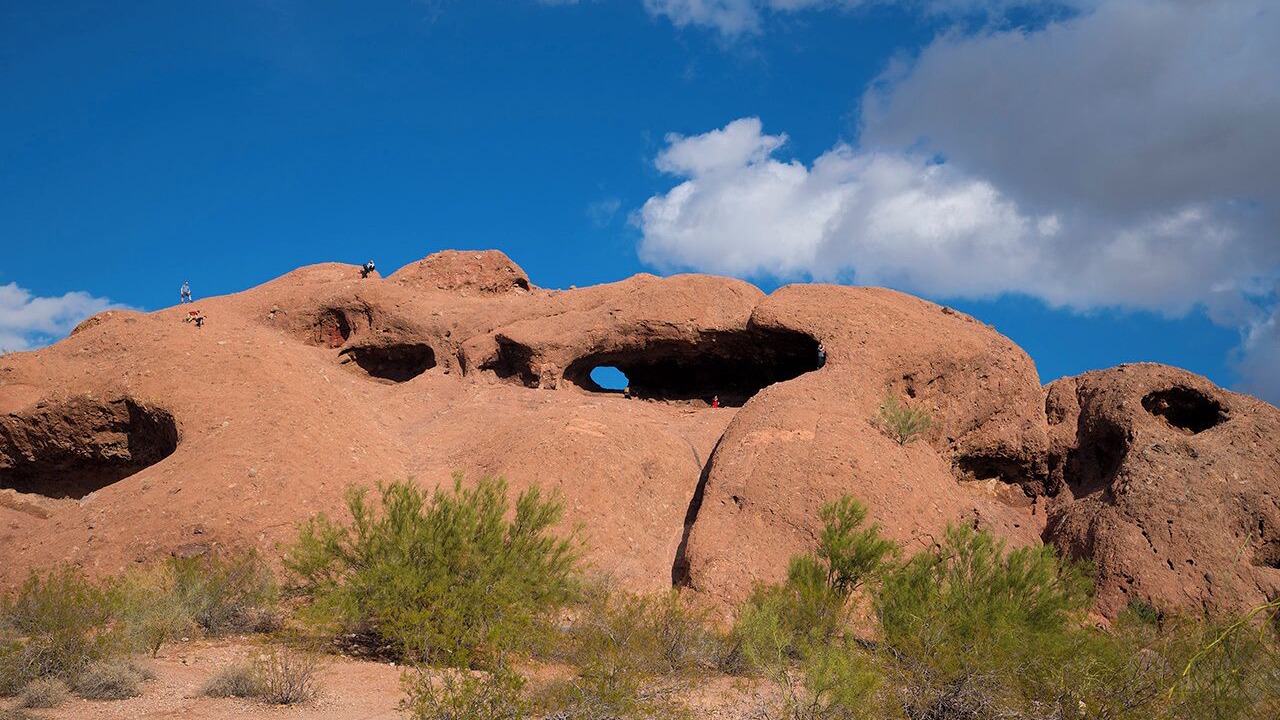 Photo of Others in New Papago Parkway