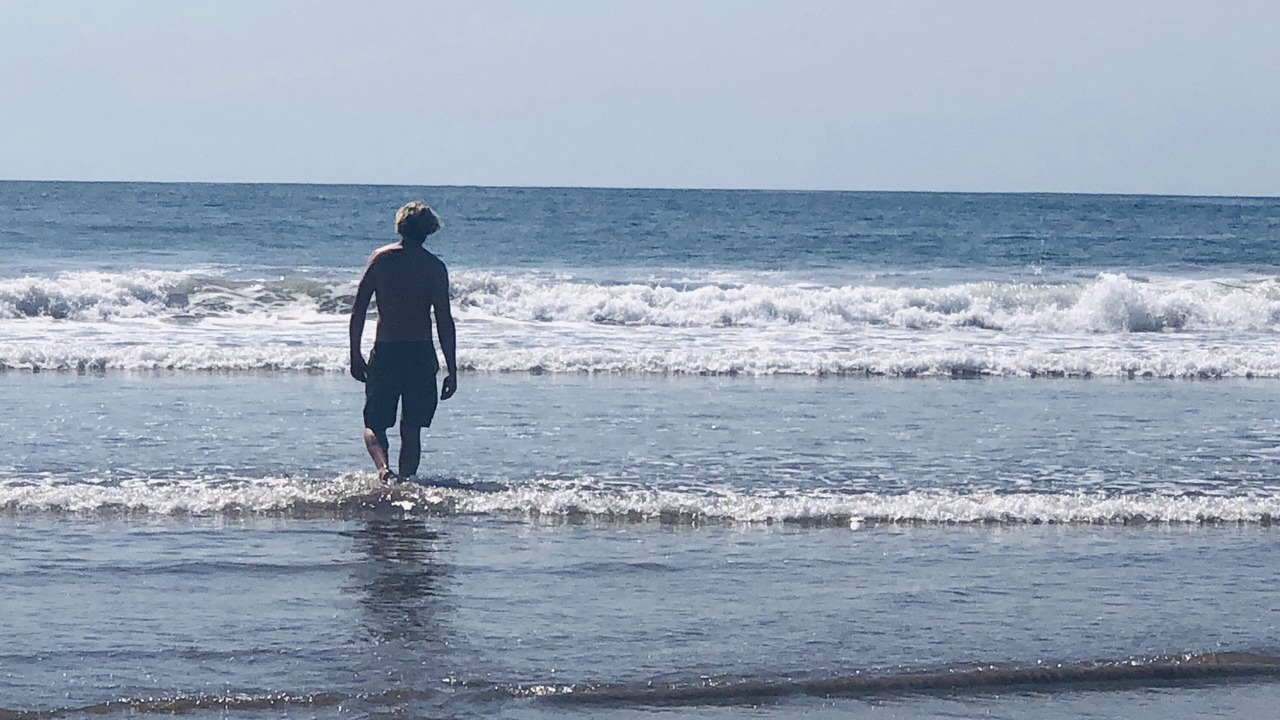 Photo of Others in Troncones