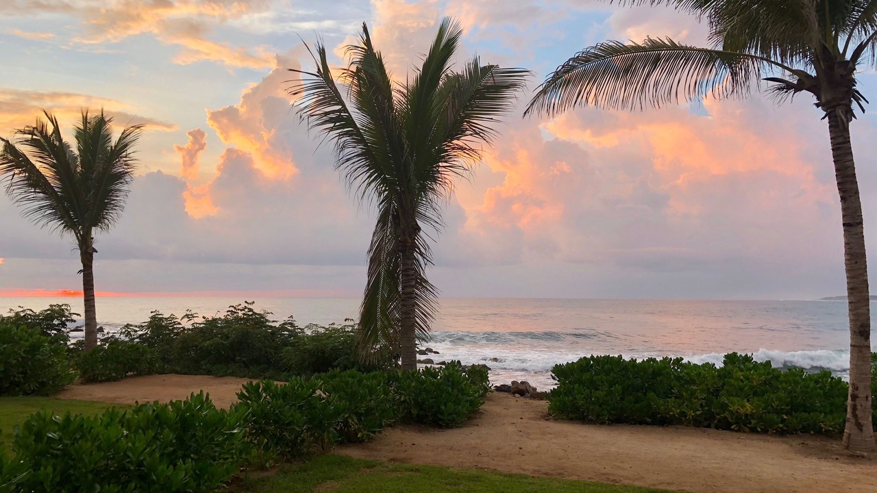 Photo of Others in Troncones