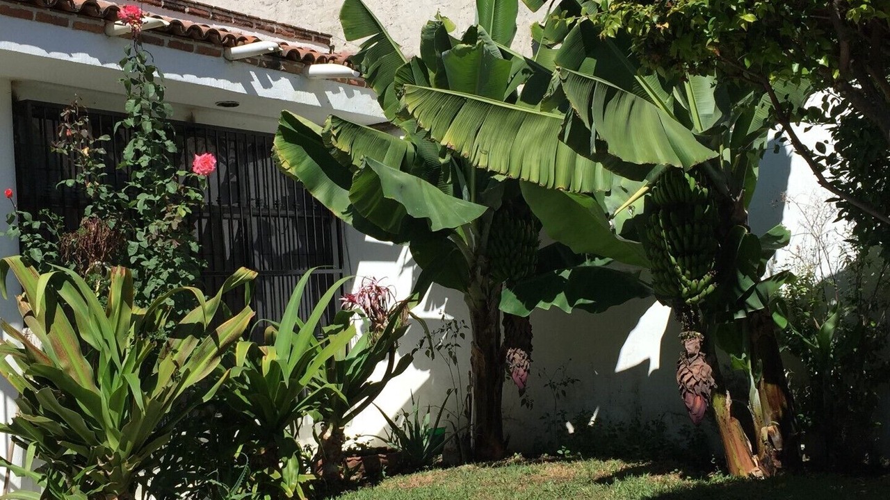 Photo of Others in Chapala Centro