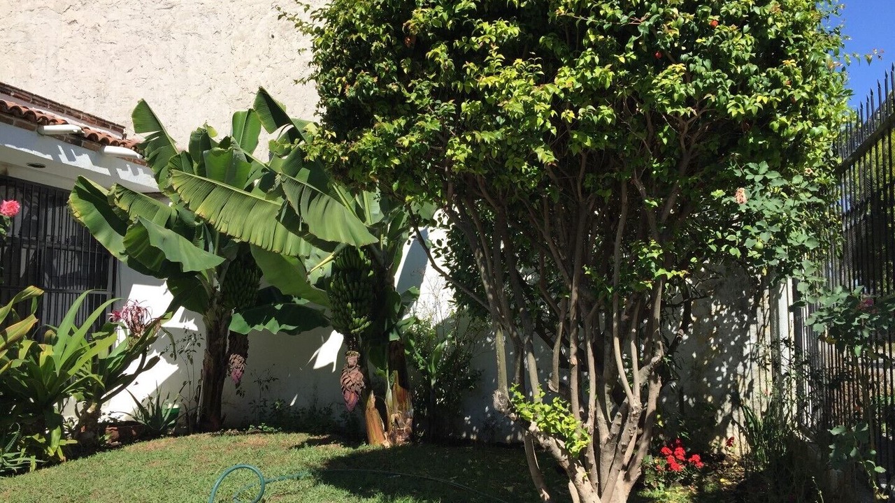 Photo of Others in Chapala Centro