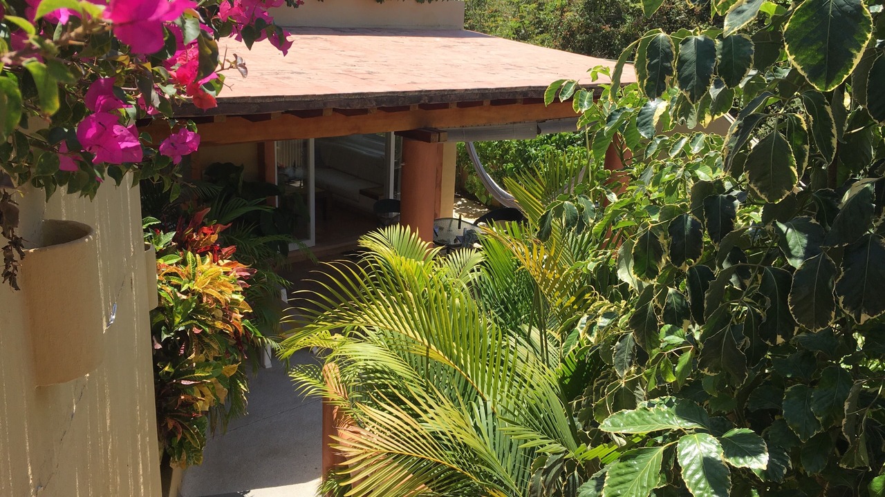 Photo of Outdoor in Zihuatanejo