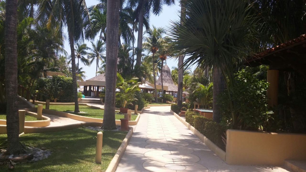Photo of Outdoor in Zihuatanejo