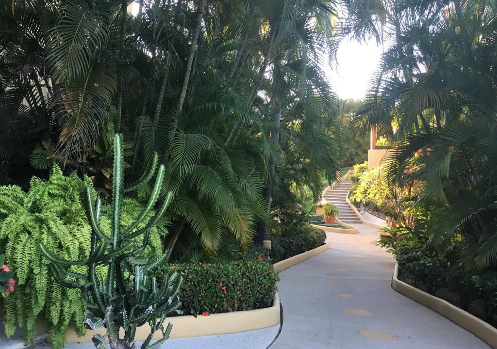 Photo of Outdoor in Zihuatanejo