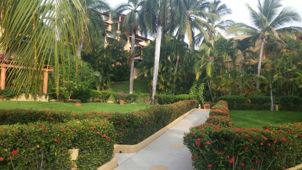 Photo of Outdoor in Zihuatanejo