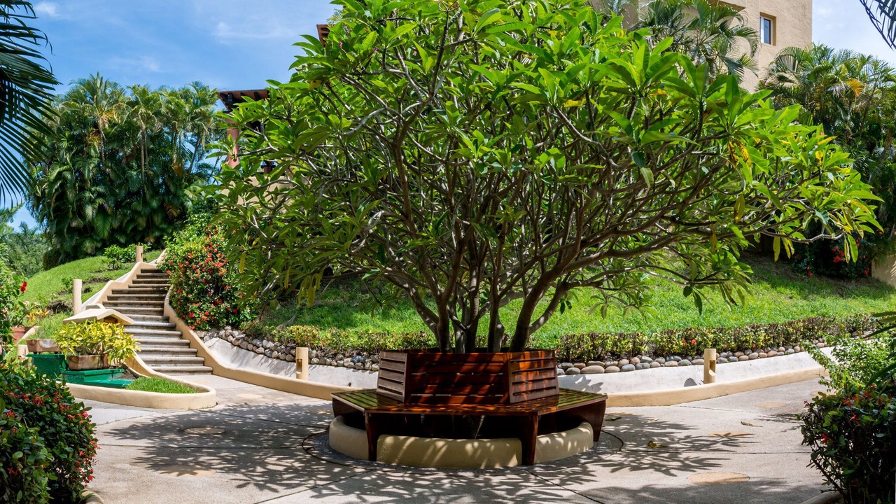 Photo of Outdoor in Zihuatanejo