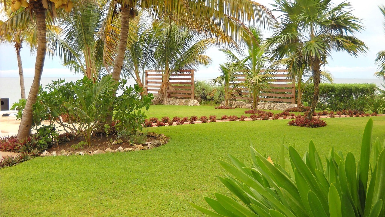 Photo of Others in Puerto Morelos